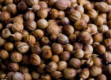 semillas